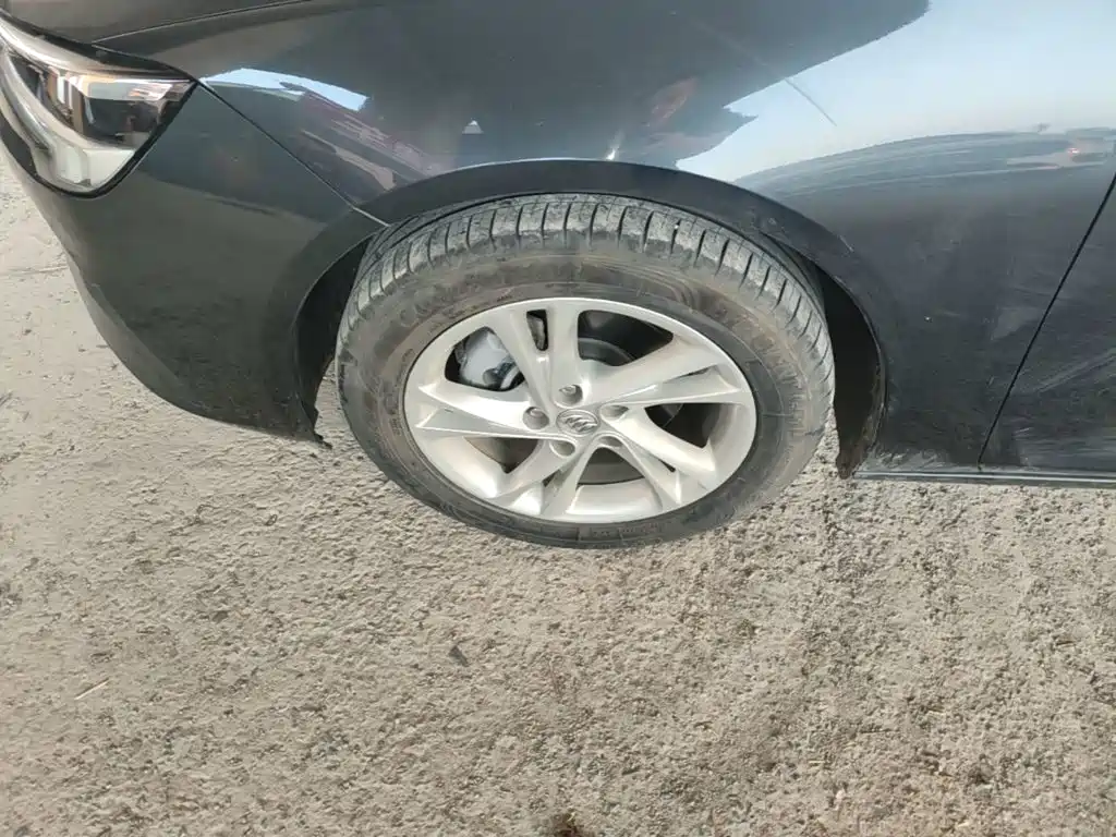 Buick Regal — миниатюра 23