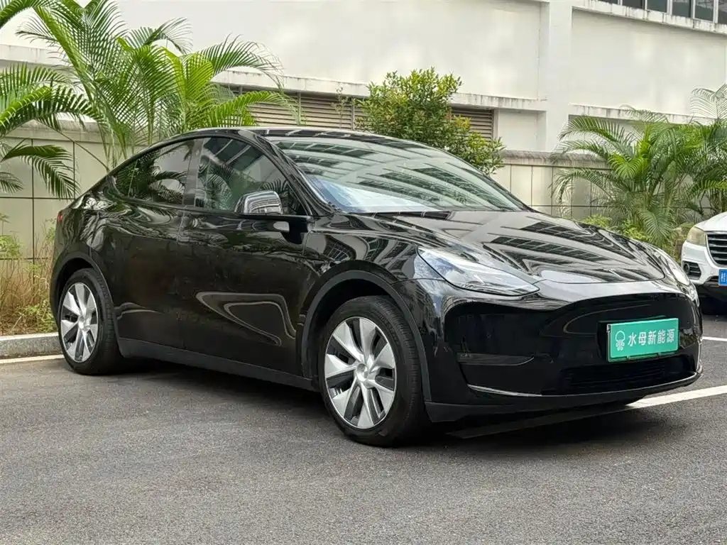 Tesla Model Y — миниатюра 11