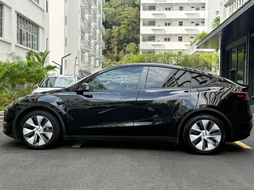 Tesla Model Y — миниатюра 9