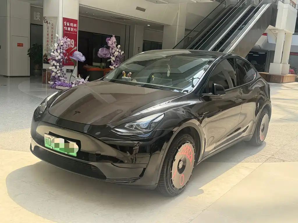 Tesla Model Y — миниатюра 3