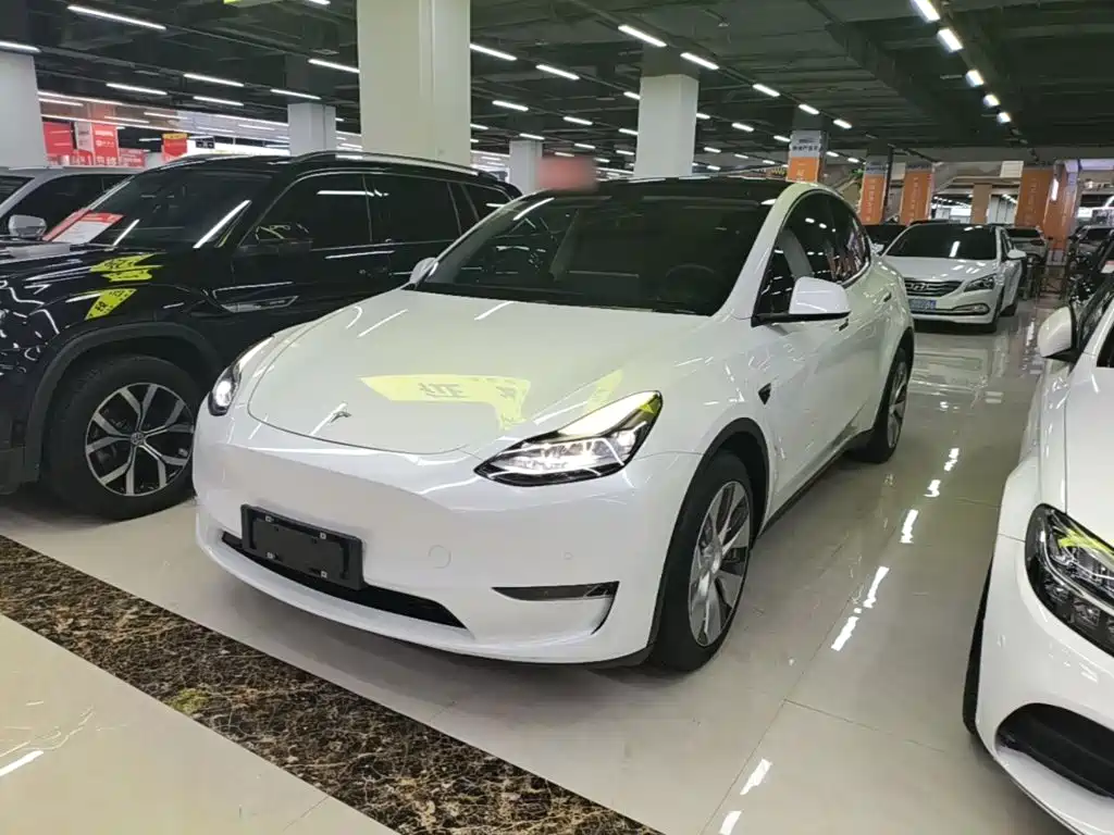 Tesla Model Y — миниатюра 2