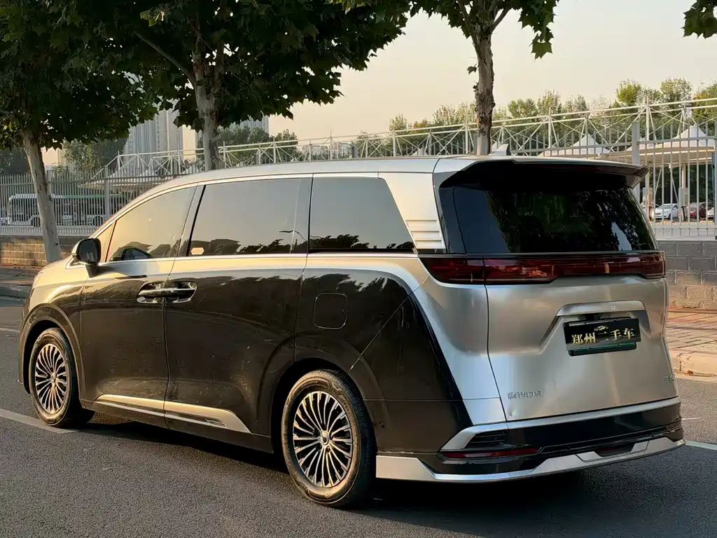 Denza Denza D9 — миниатюра 9