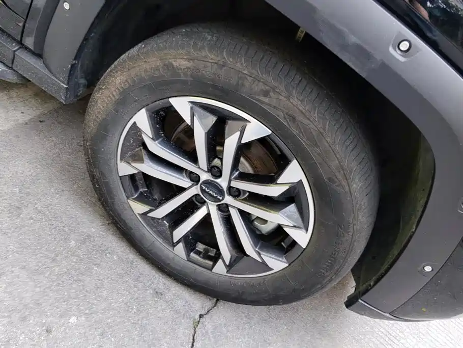 Haval Big Dog PLUS — миниатюра 6