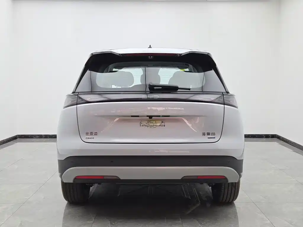 BYD Sealion 05 DM-i — миниатюра 5