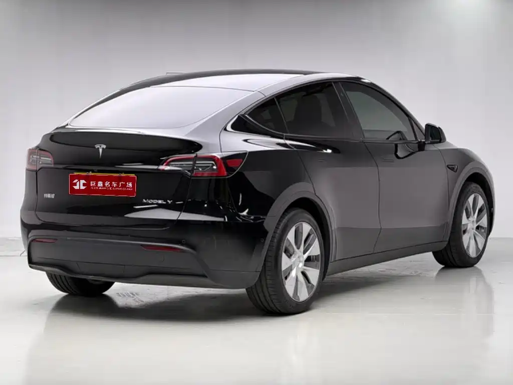 Tesla Model Y — миниатюра 6