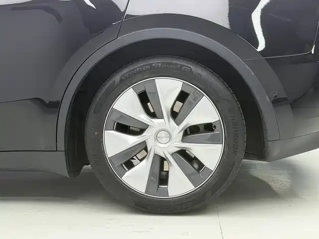 Tesla Model Y — миниатюра 16