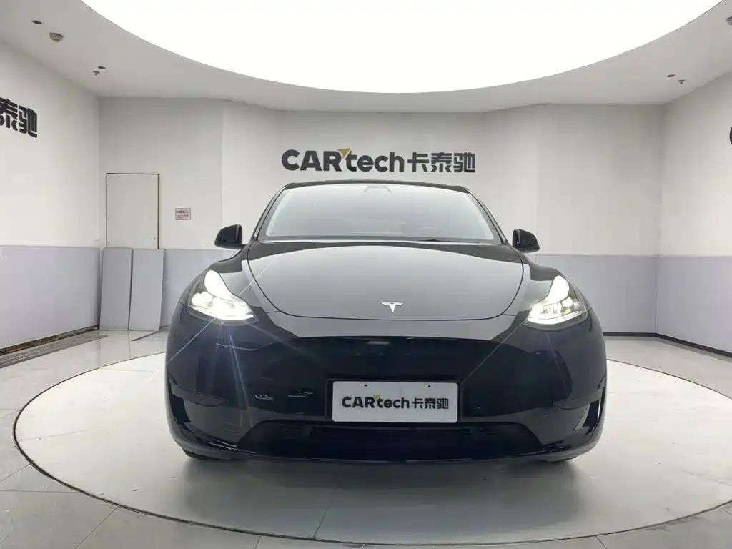Tesla Model Y — миниатюра 3