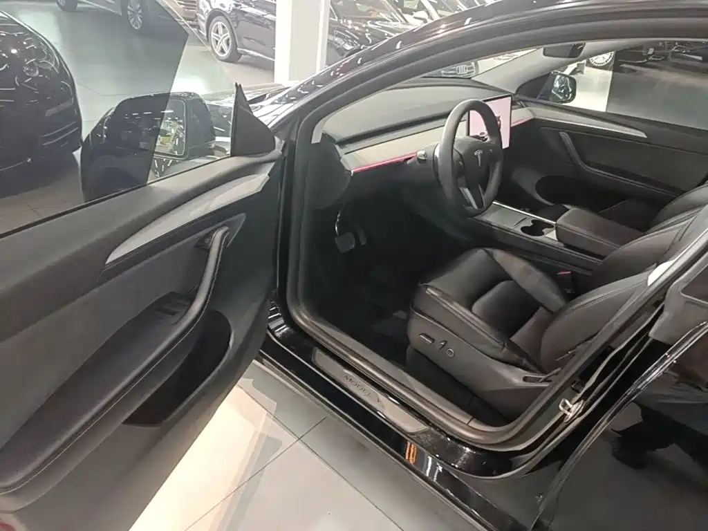 Tesla Model Y — миниатюра 16