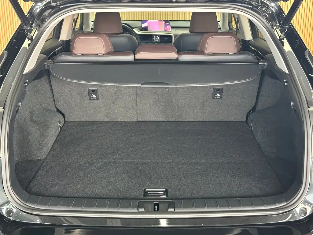Lexus RX — миниатюра 16