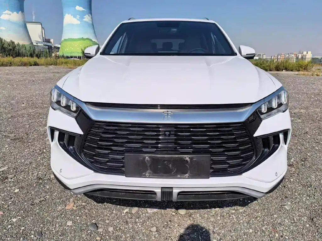 BYD Pro New Energy — миниатюра 2