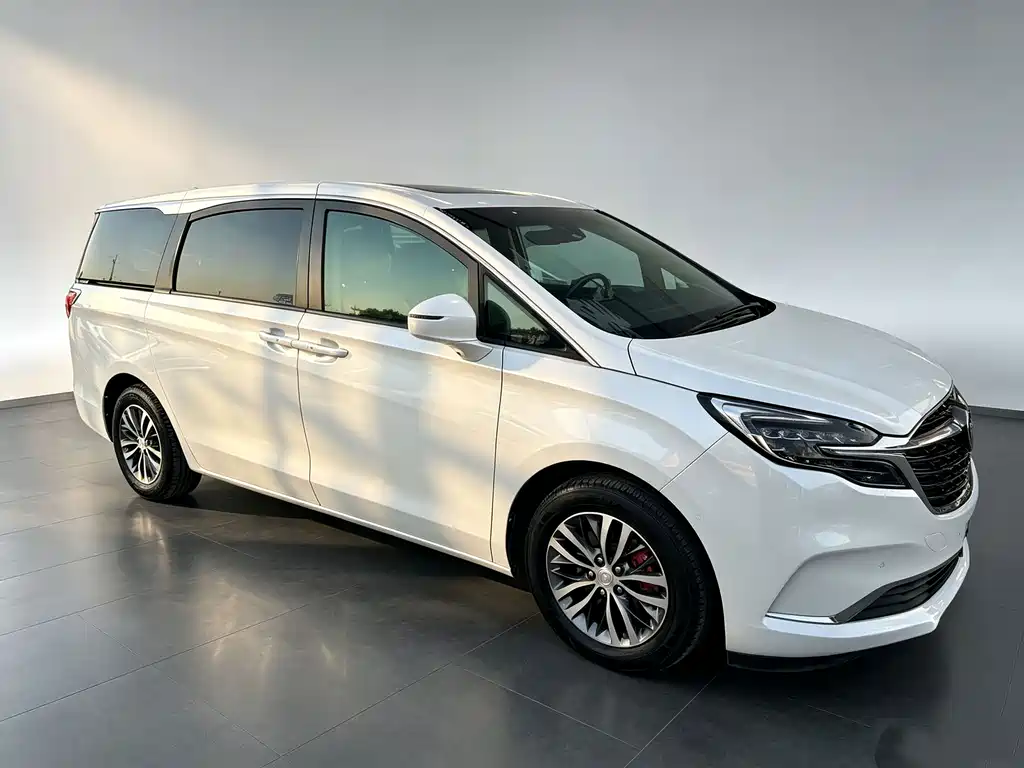 Buick GL8 — миниатюра 3