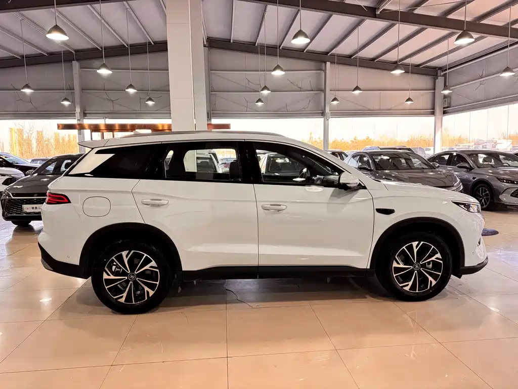 BYD SONGJIANG NEW ENERGY