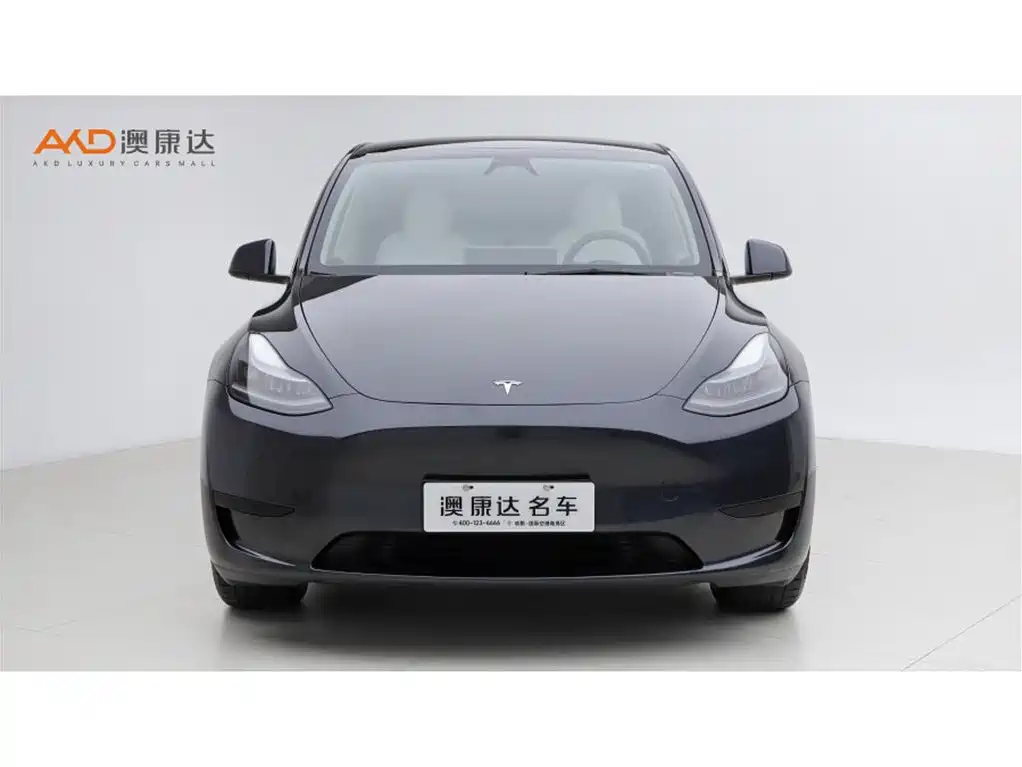 Tesla Model Y — миниатюра 2