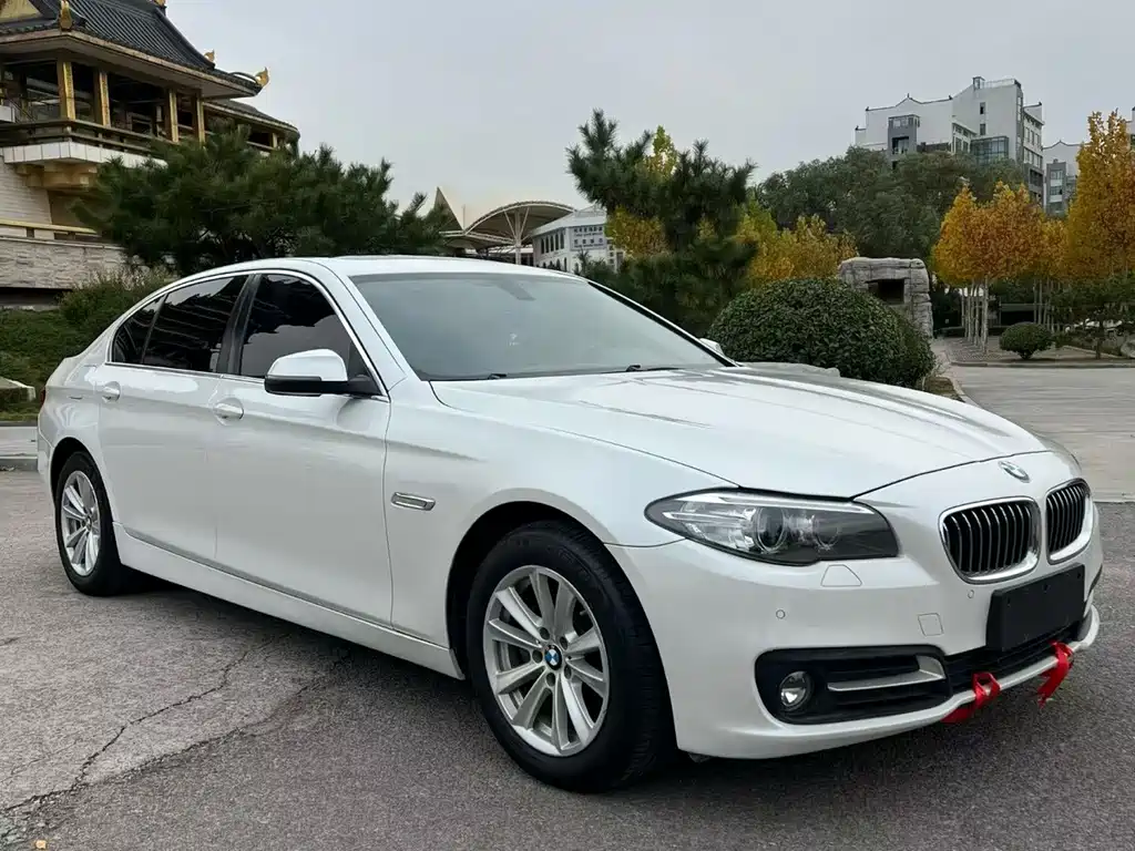 BMW 5 Series — миниатюра 2