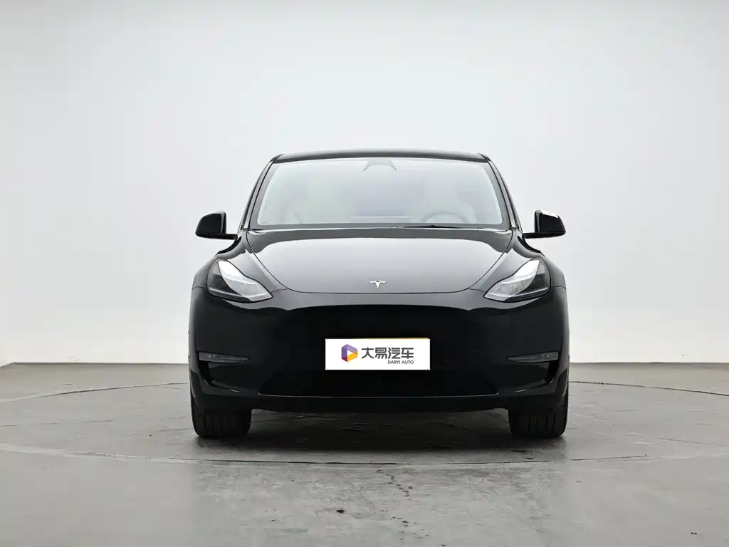Tesla Model Y — миниатюра 2