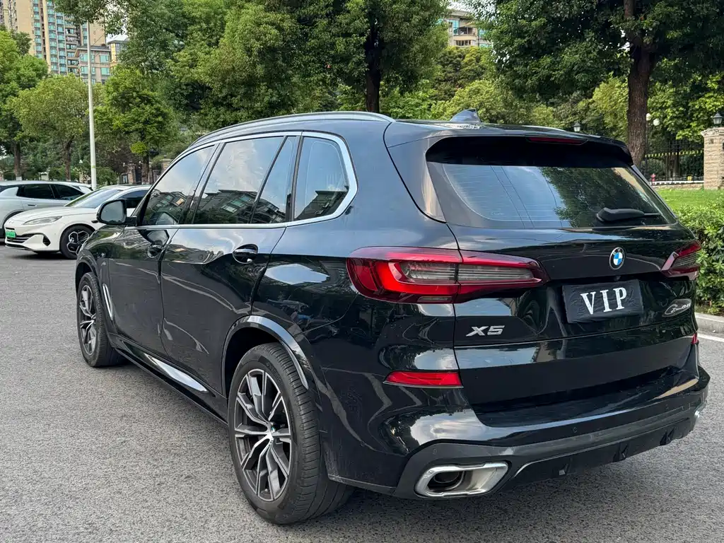 BMW X5 — миниатюра 7