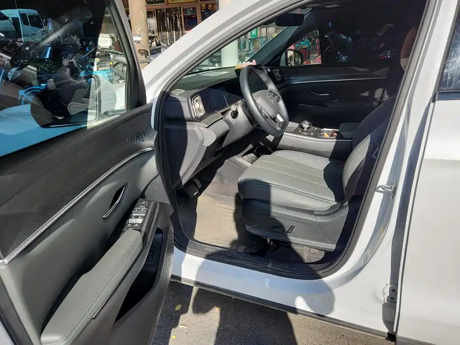BYD Pro New Energy — миниатюра 9