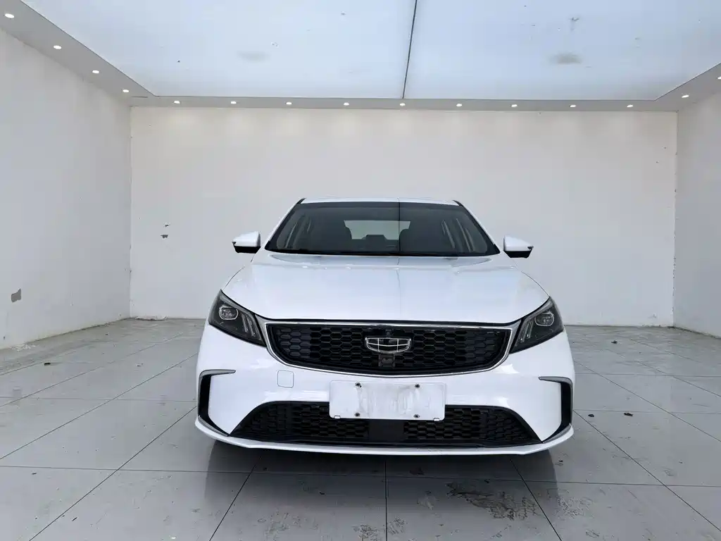 Geely Binrui — миниатюра 2