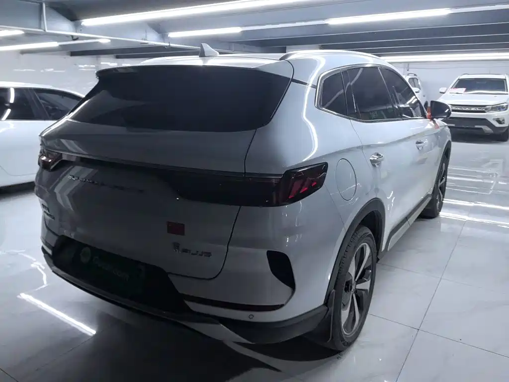 BYD PLUS New Energy — миниатюра 6