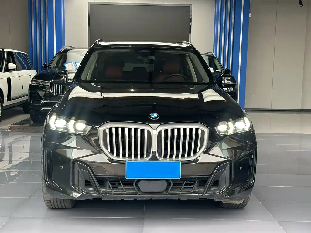 BMW X5 — миниатюра 2