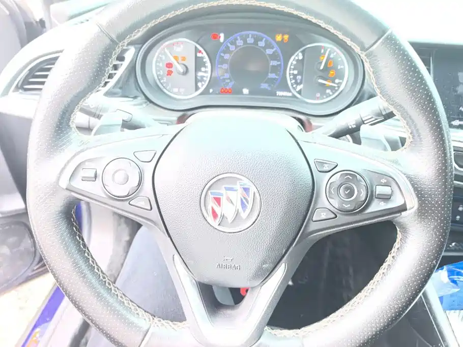 Buick Regal — миниатюра 15