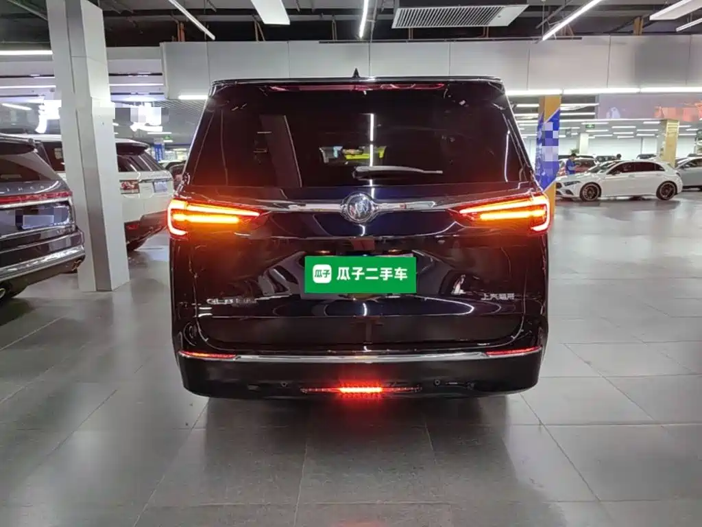 Buick GL8 — миниатюра 6