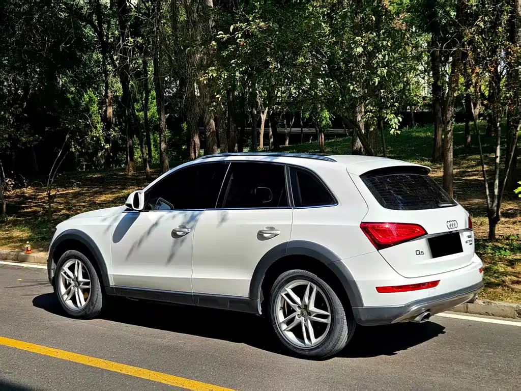 Audi Q5 — миниатюра 4
