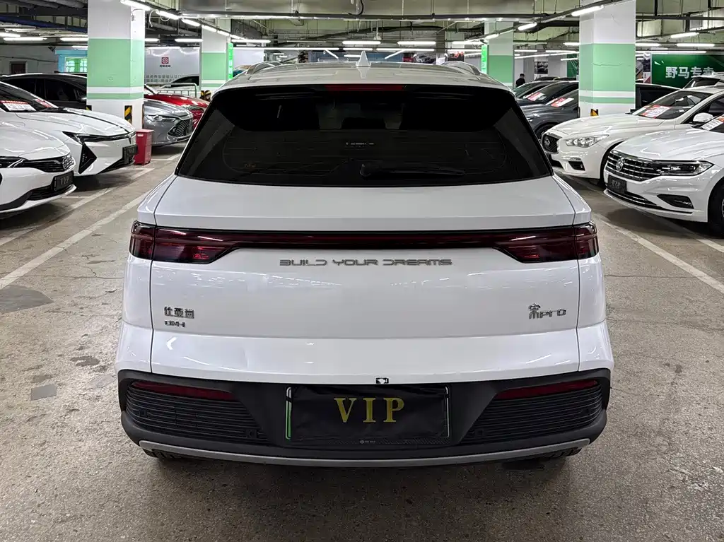 BYD Pro New Energy — миниатюра 4