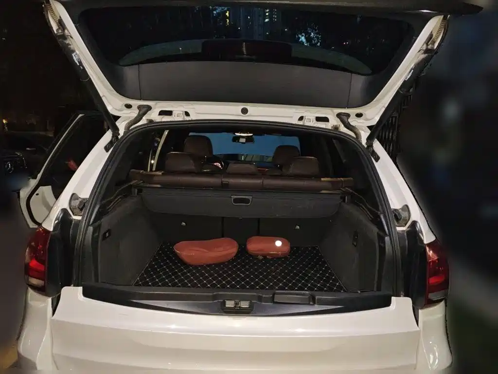 BMW X5 (Import) — миниатюра 10