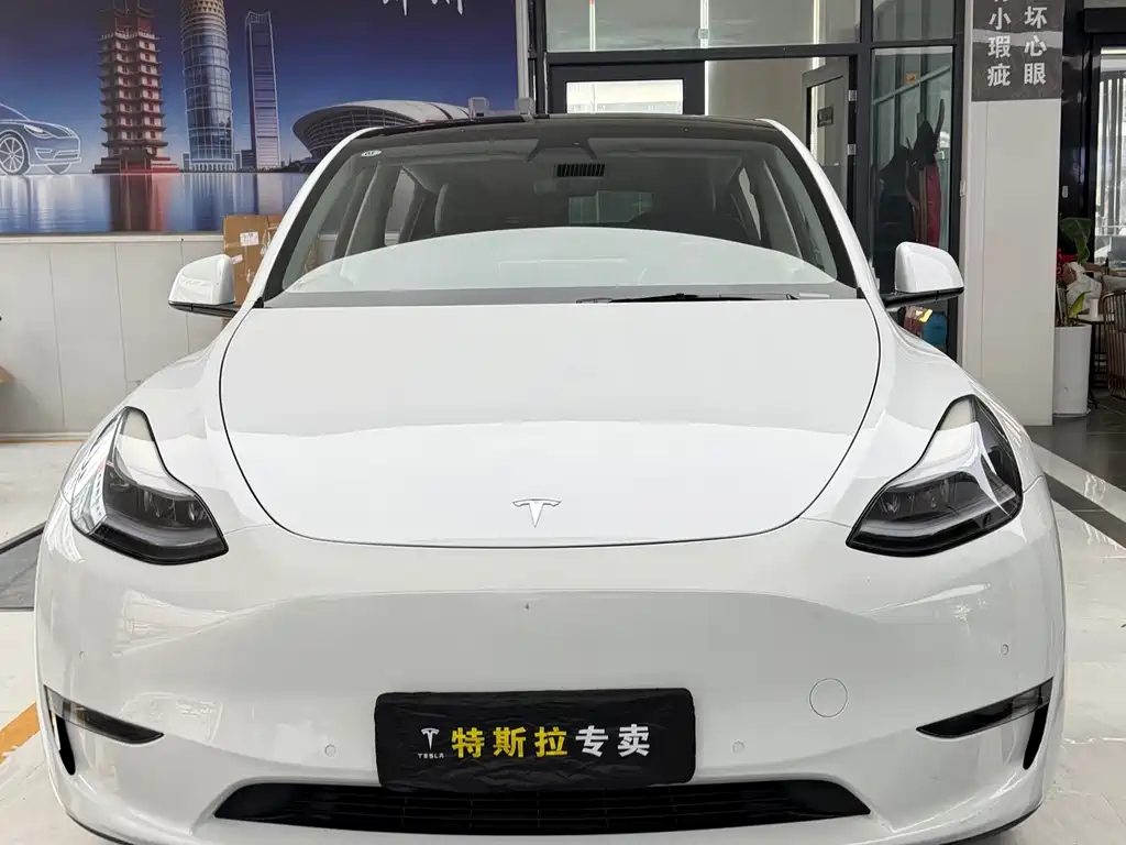 Tesla Model Y — миниатюра 2