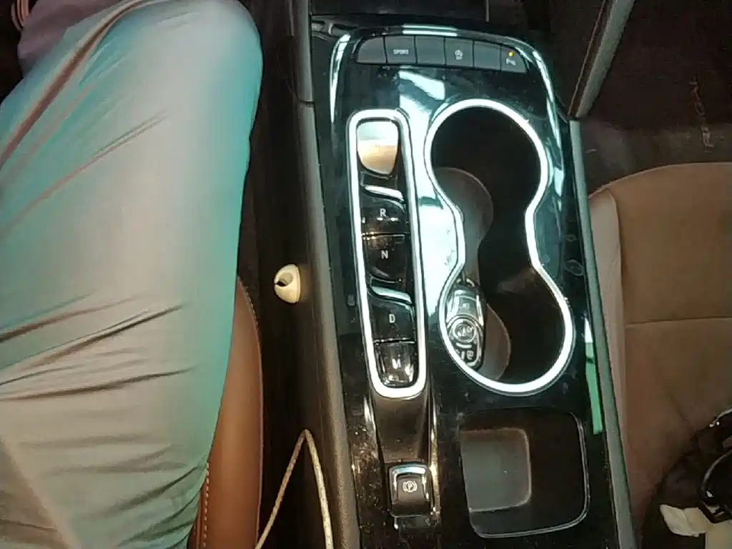 Buick Regal — миниатюра 14