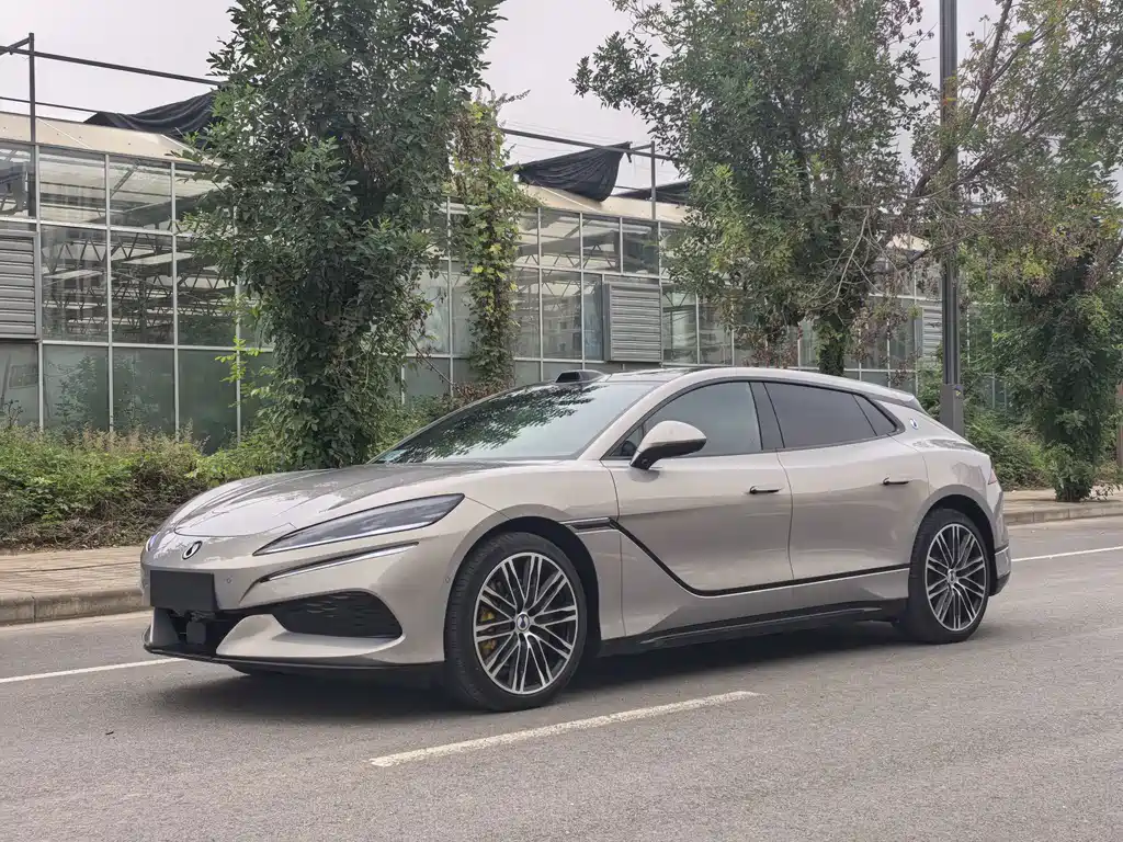 Denza Denza Z9GT