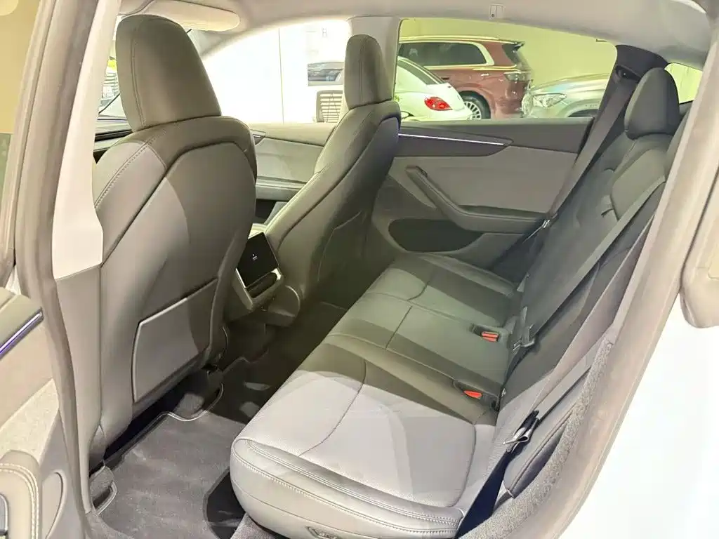 Tesla Model Y — миниатюра 13
