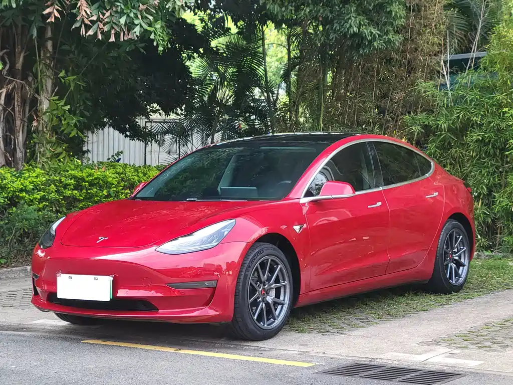 Tesla Model 3 2019