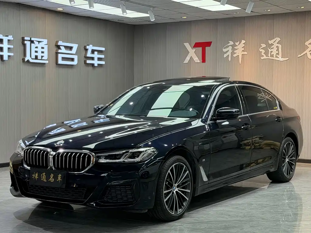 BMW 5 Series — миниатюра 4