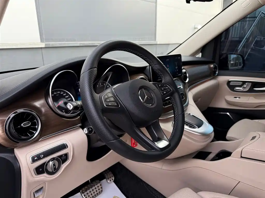 Mercedes-Benz V-Class V 260 L Long Wheelbase Luxury Edition, фото 19