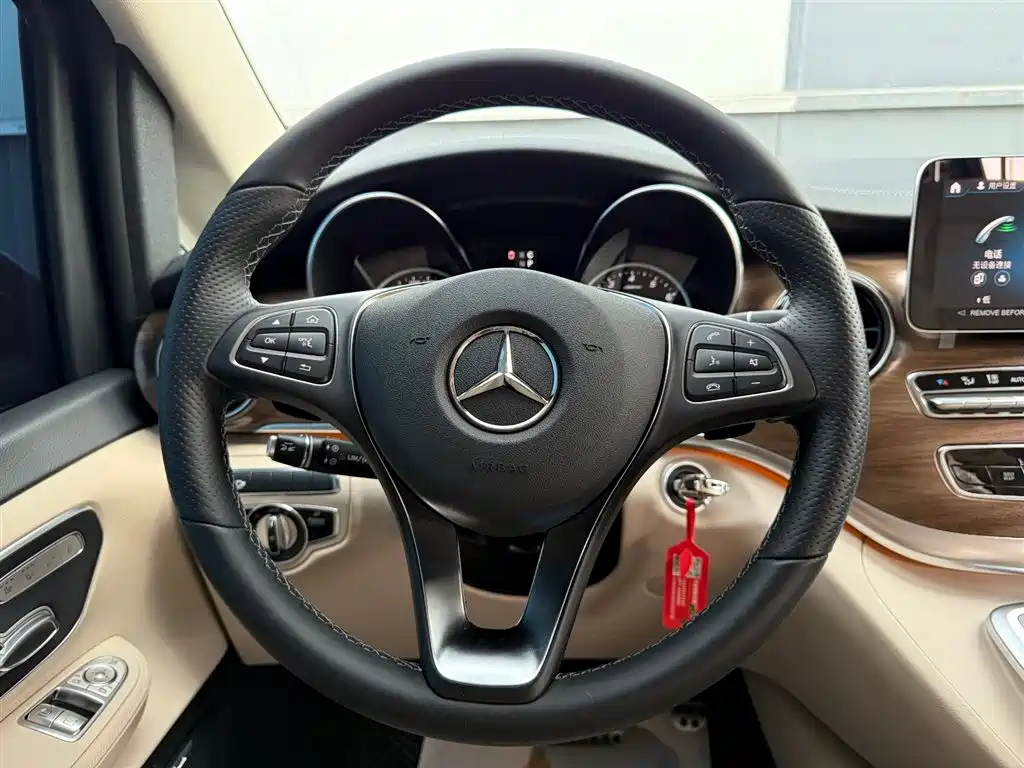 Mercedes-Benz V-Class V 260 L Long Wheelbase Luxury Edition, фото 33