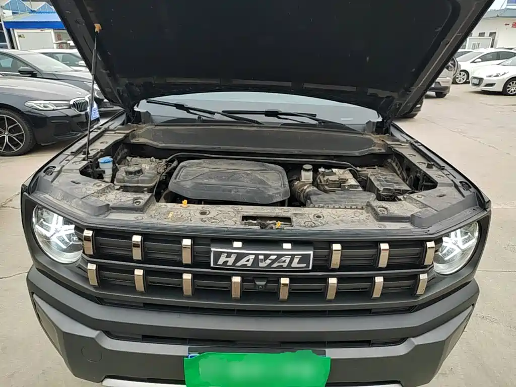 Haval Cool Dog — миниатюра 20