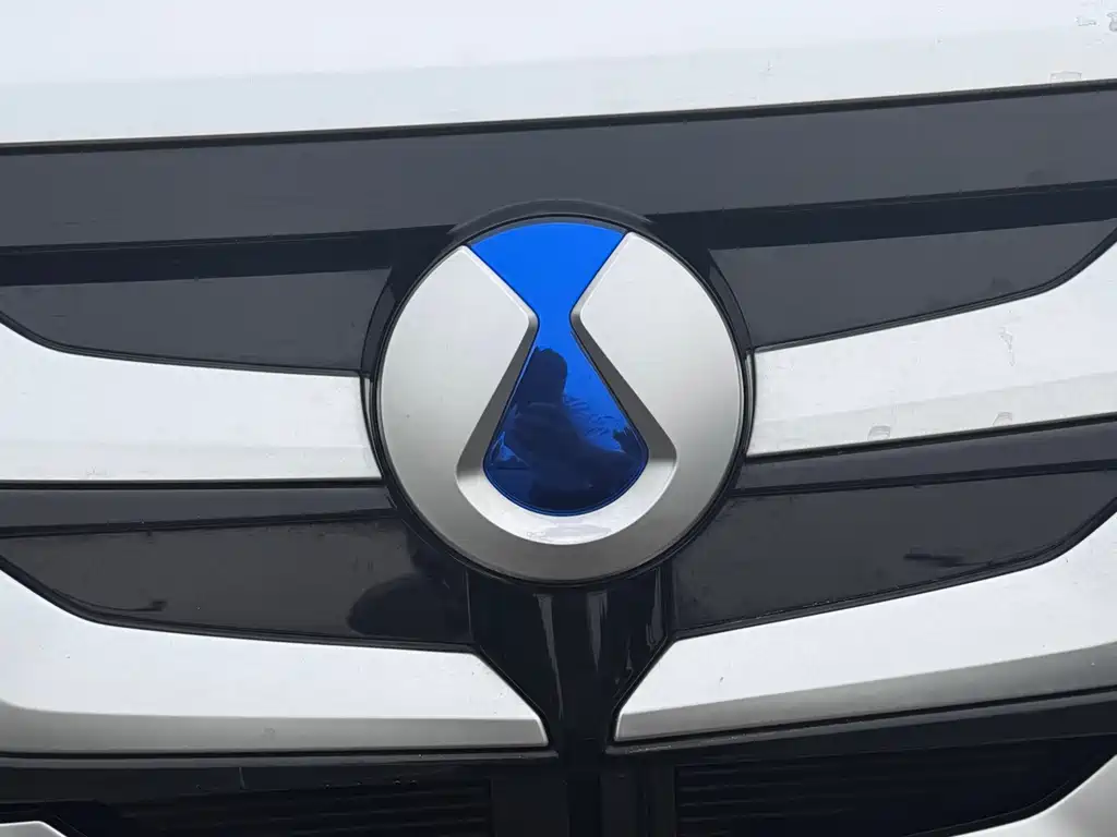 Denza Denza D9 — миниатюра 15
