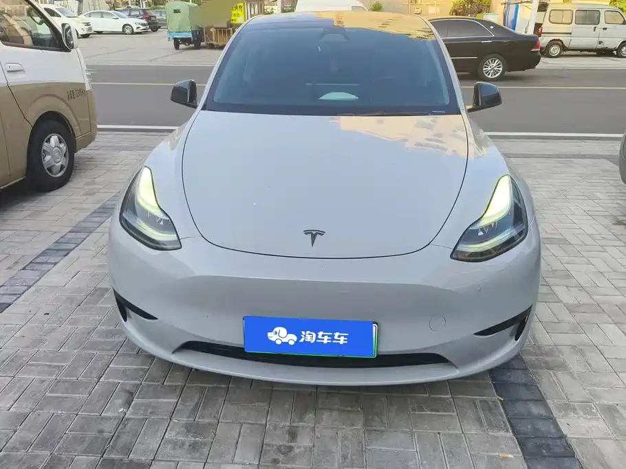 Tesla Model Y — миниатюра 2