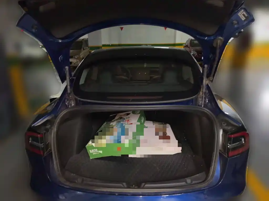 Tesla Model 3 — миниатюра 10