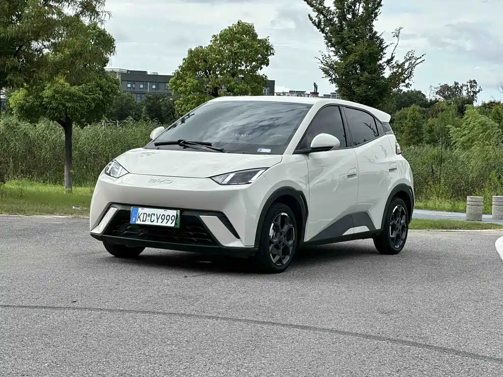 BYD Seagull