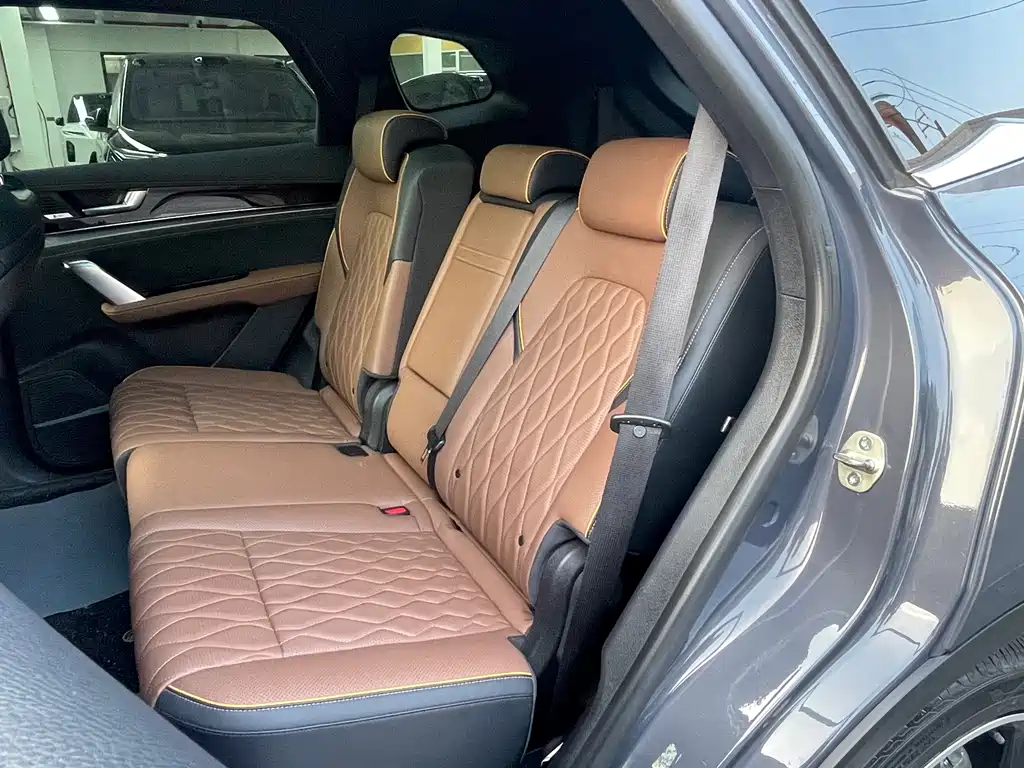 BYD Tang New Energy — миниатюра 23