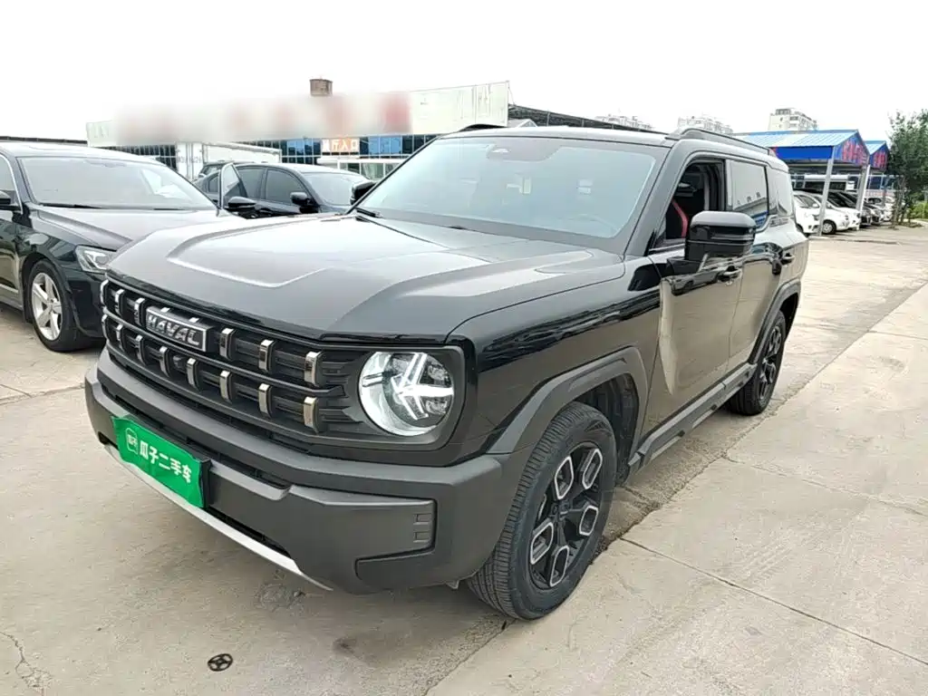 Haval Cool Dog — миниатюра 2