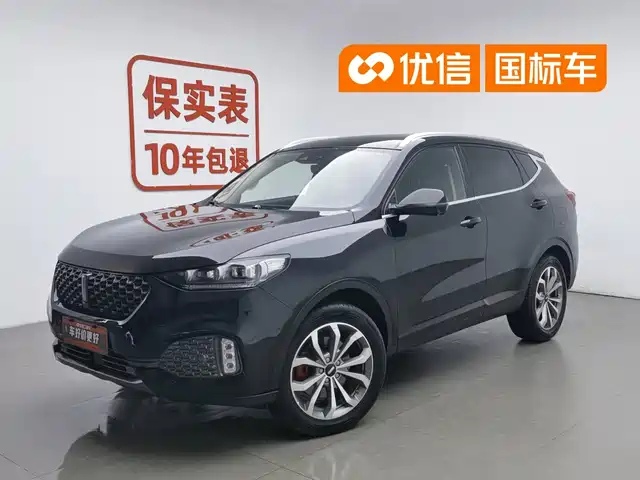 2019 Wey VV6
