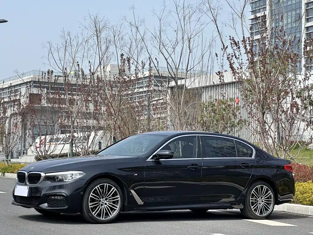 BMW 5 Series 2019