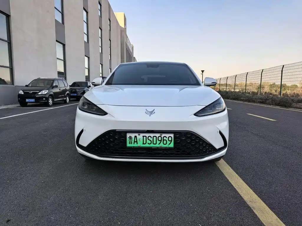 ARCFOX EXTREME FOX POLAR FOX ALPHA S