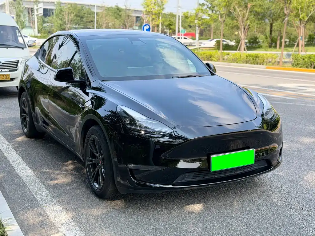 Tesla Model Y — миниатюра 22