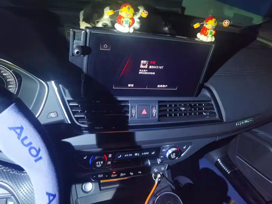Audi Q5L — миниатюра 13