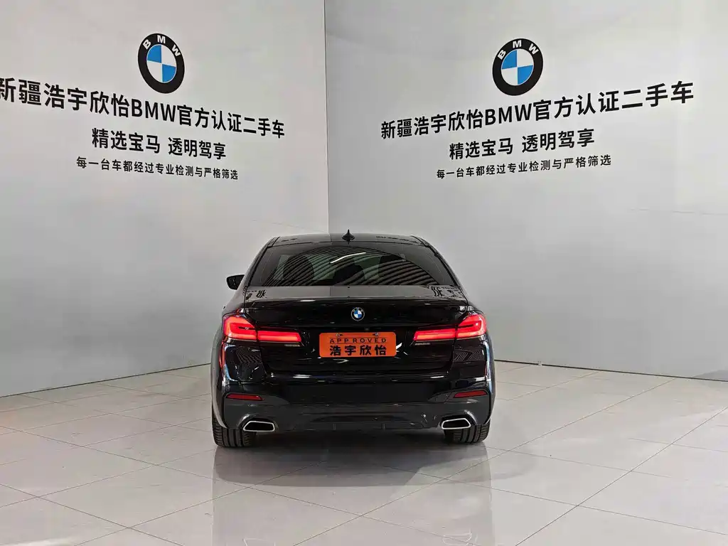 BMW 5 Series (Import) — миниатюра 5
